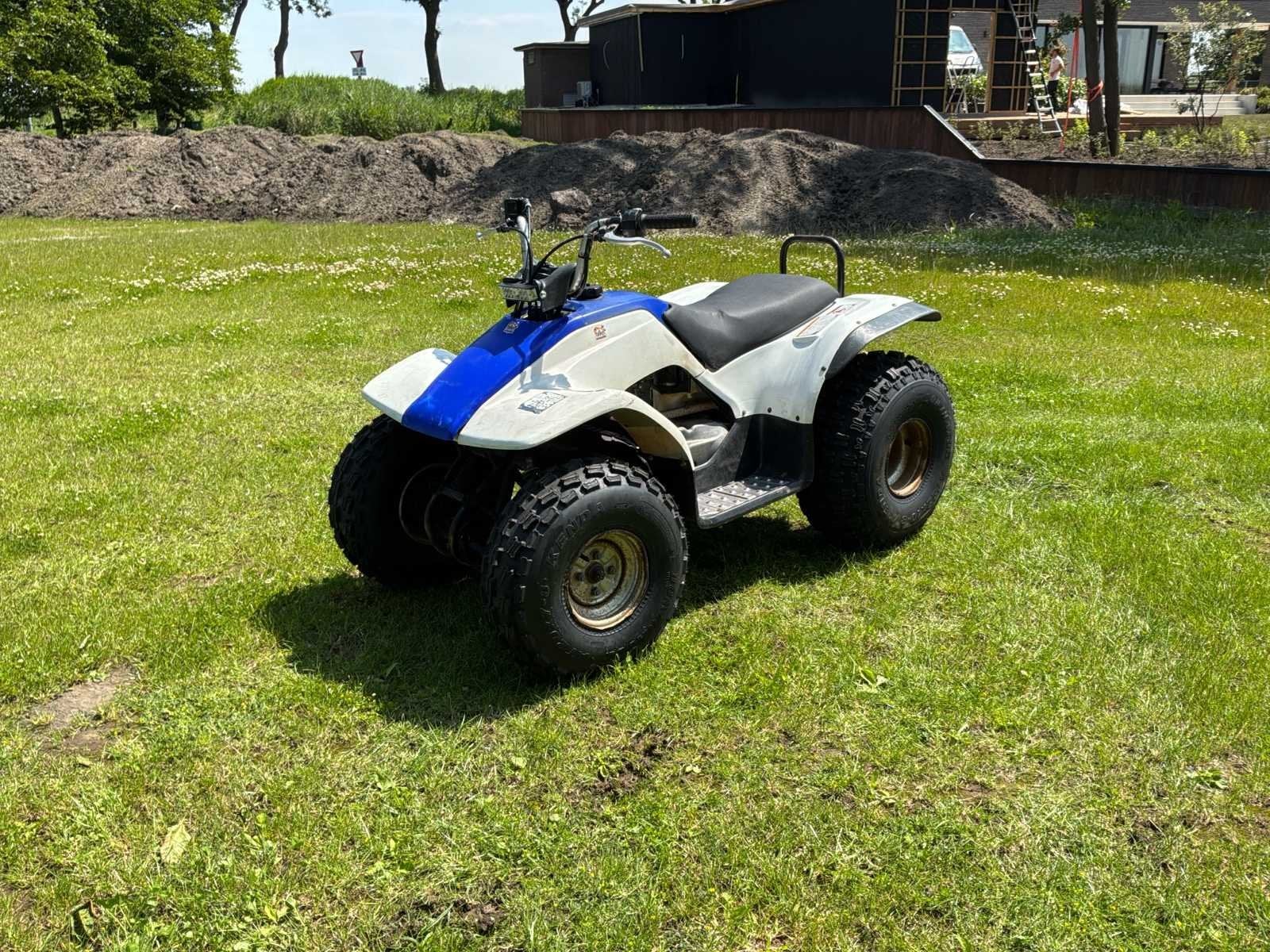 Yamaha Breeze Quad, Motoren