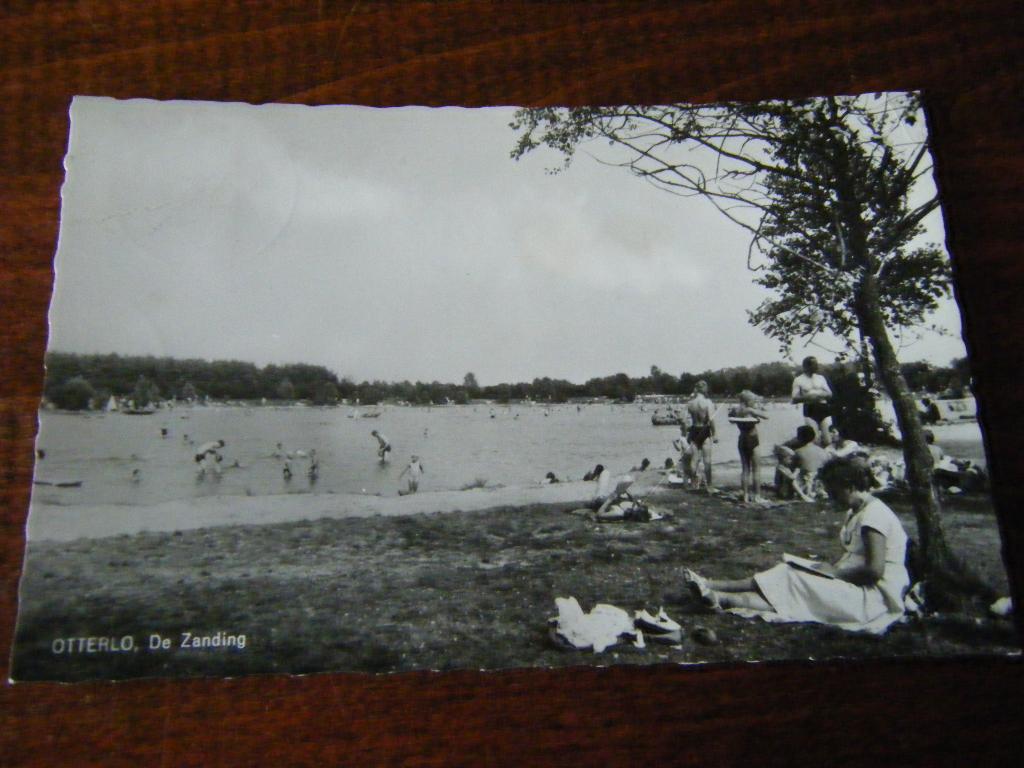 C36 - Otterlo - De Zanding - Mooi/Oud, Ophalen of Verzenden, 1960 tot 1980, Gelderland