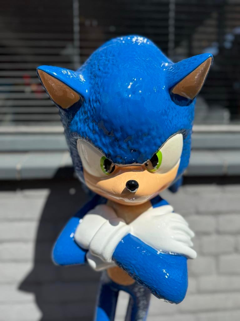 Sonic the Hedgehog beeld - Groot formaat, Ophalen, Zo goed als nieuw, Fantasy