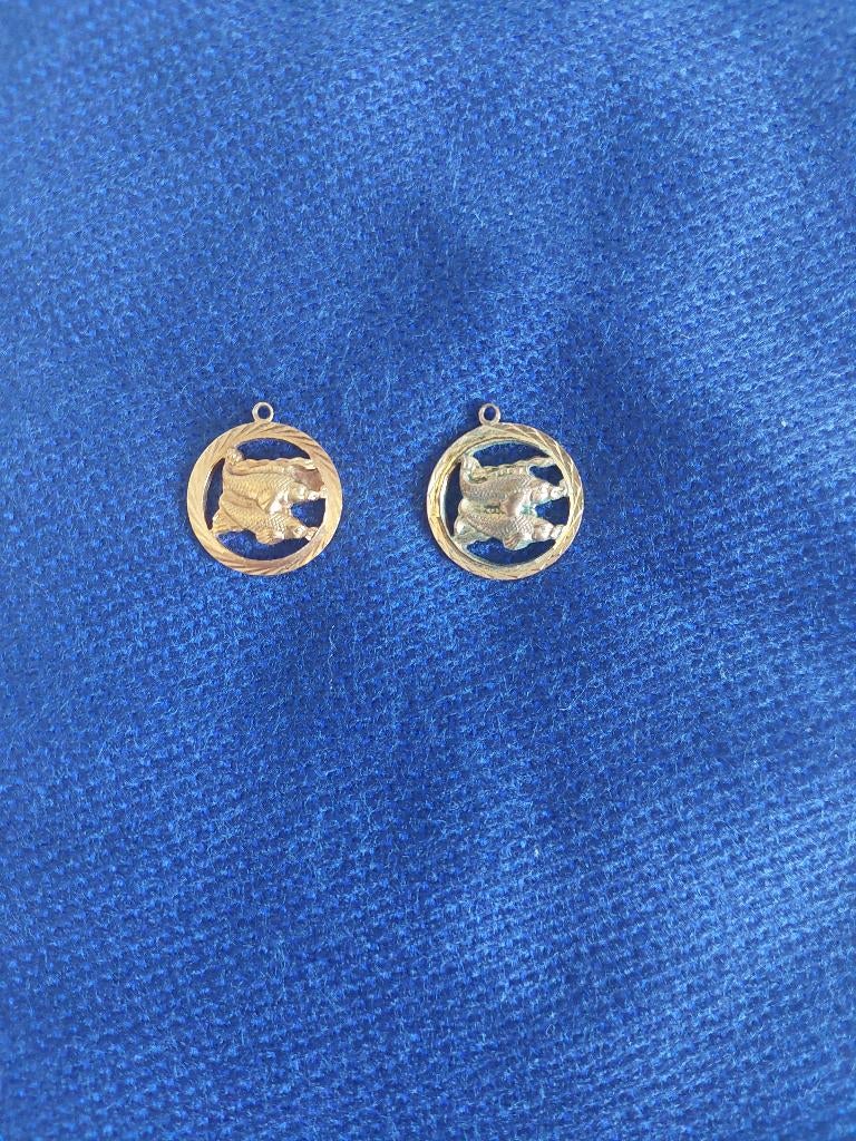 2 VIS  sterrenbeeld hanger, Overige materialen, Ophalen of Verzenden, Zo goed als nieuw, Goud