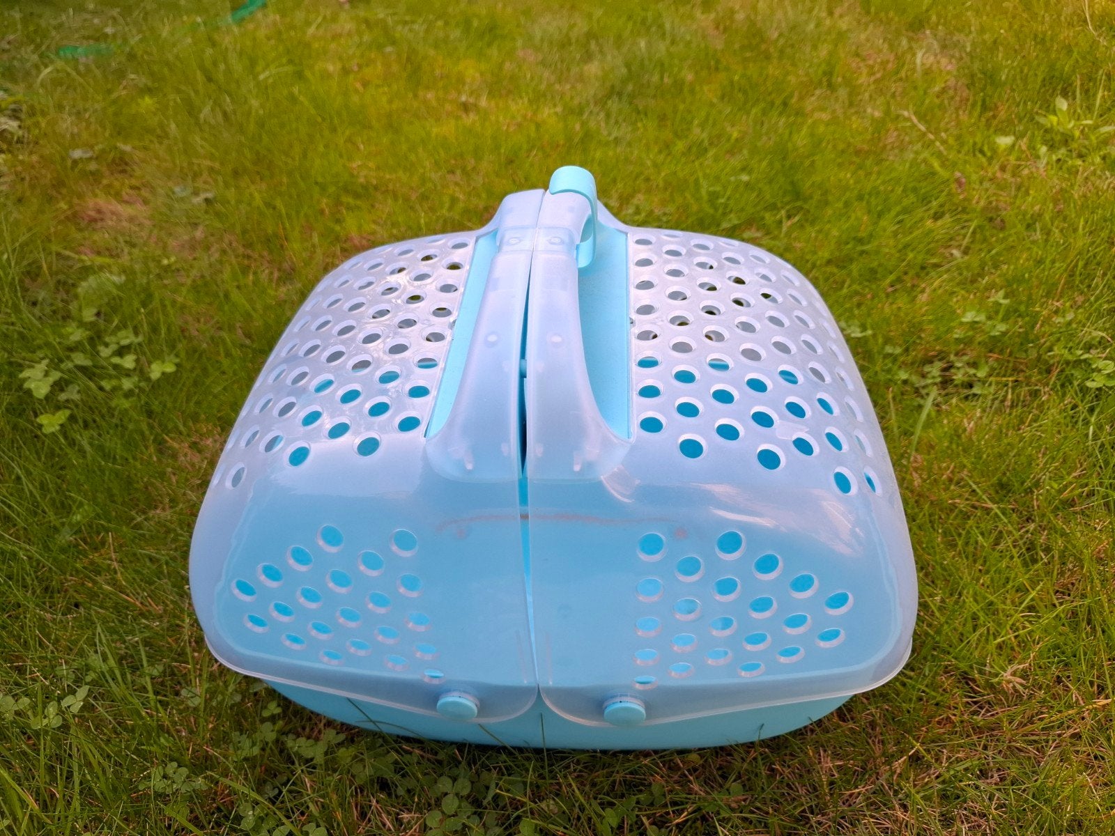 Compleet cavia- / knaagdierpakket: Ruime kooi, Kooi, Gebruikt, 75 tot 110 cm, Cavia