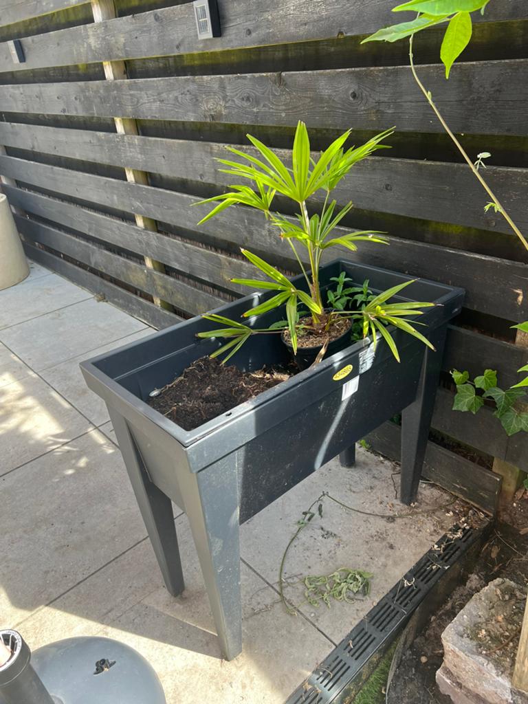 Kweekbak op poten en kweekpotjes voor stekjes, Tuin en Terras, Kweekspullen, Ophalen, Zo goed als nieuw, Kweekbak