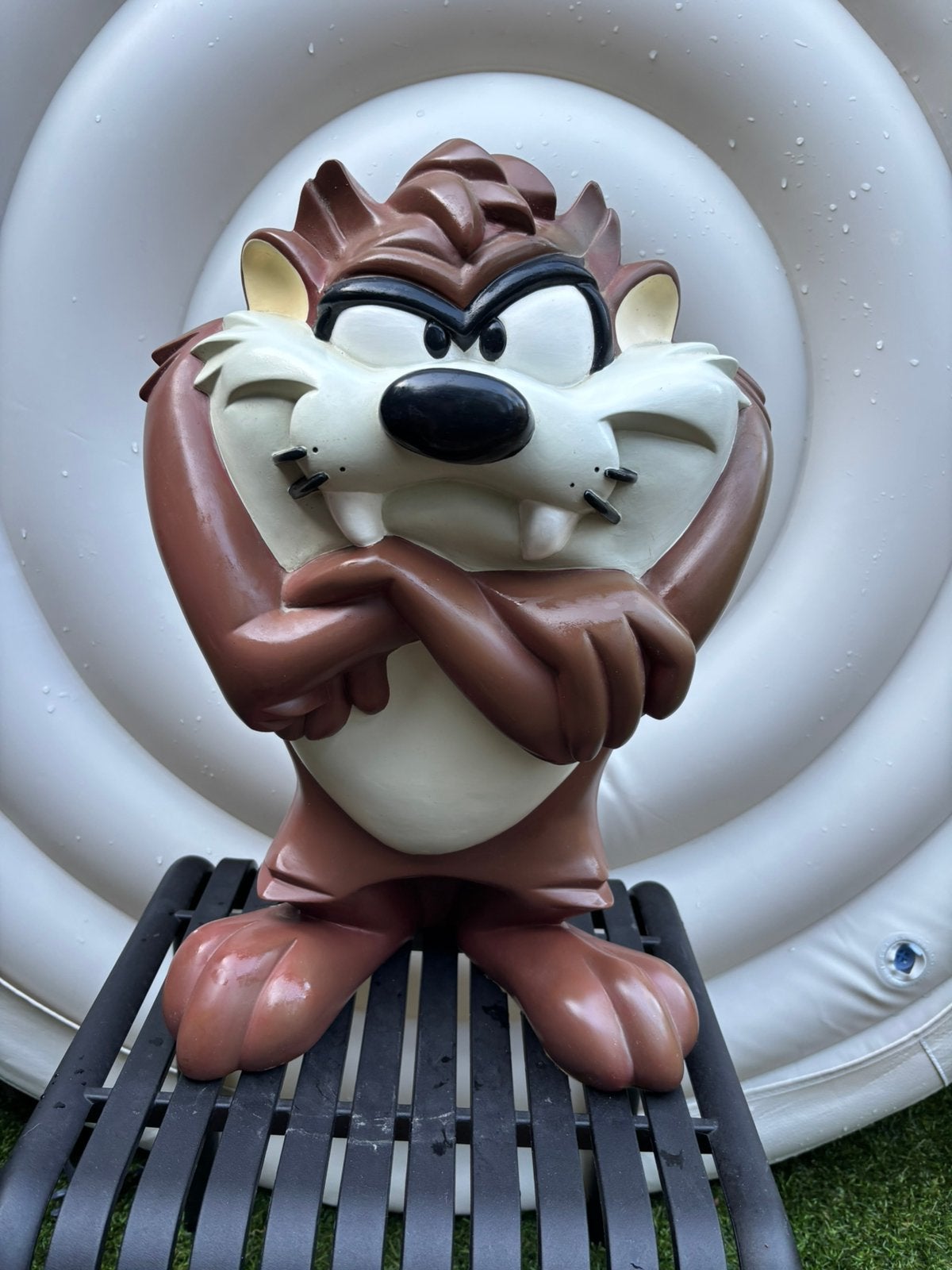 Tasmanian  devil, Taz, Tasmaanse duivel, Looney Tunes, Ophalen