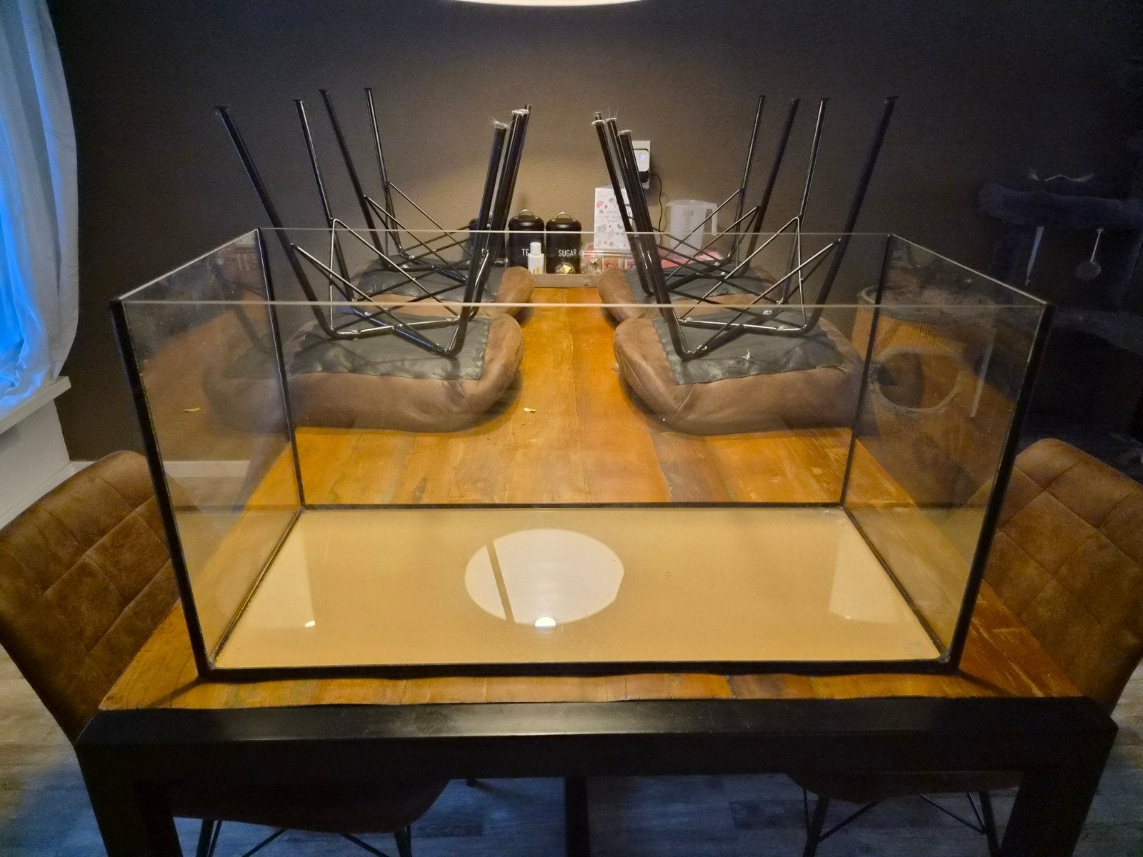 Glazen bak / aquarium, Dieren en Toebehoren, Ophalen, Zo goed als nieuw