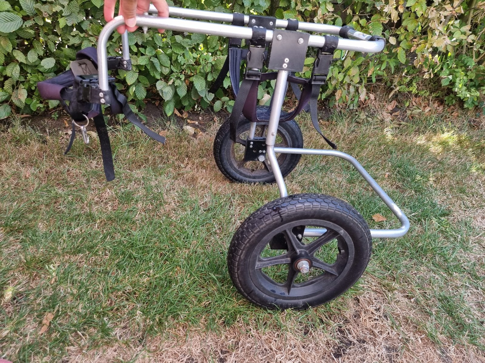 Honden rolstoel, Ophalen, Zo goed als nieuw