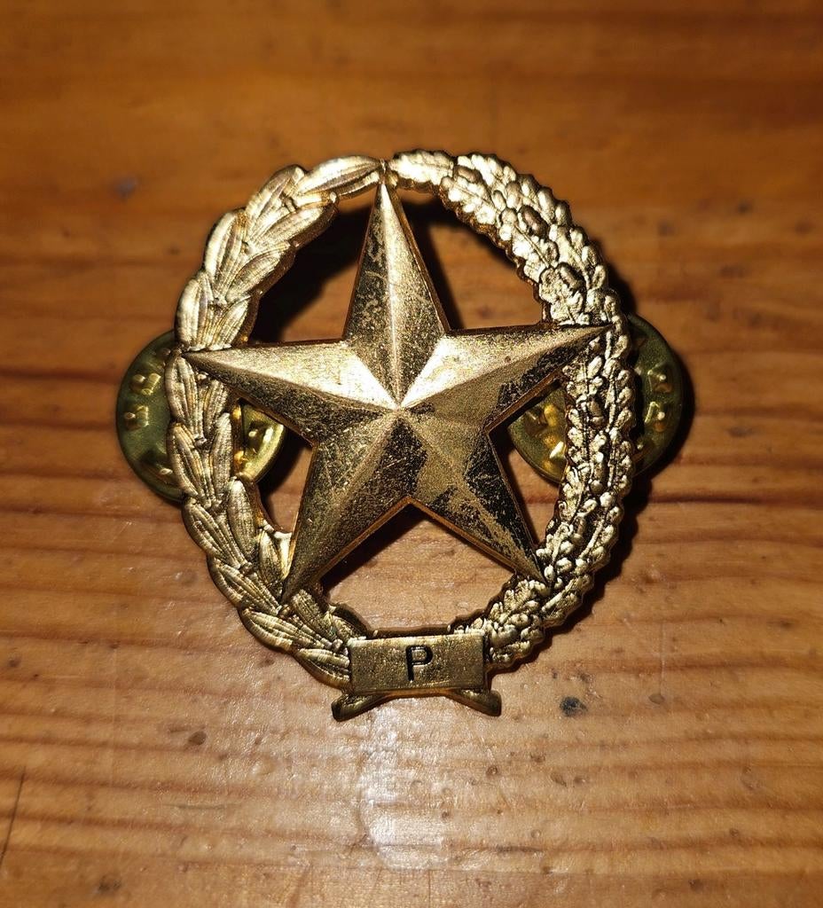Vaardigheidsembleem Pistool, Verzamelen, Militaria | Algemeen, Ophalen of Verzenden, Landmacht, Nederland, Embleem of Badge