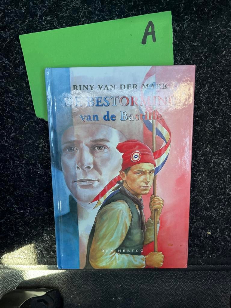 De Bestorming van de Bastille - Riny van der Mark, Boeken, Ophalen of Verzenden, 17e en 18e eeuw, Zo goed als nieuw, Europa