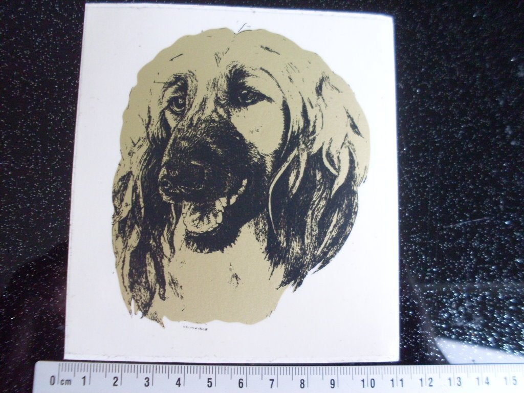 ruit sticker hondenkop hond vintage, Verzenden, Zo goed als nieuw, Dier en Natuur