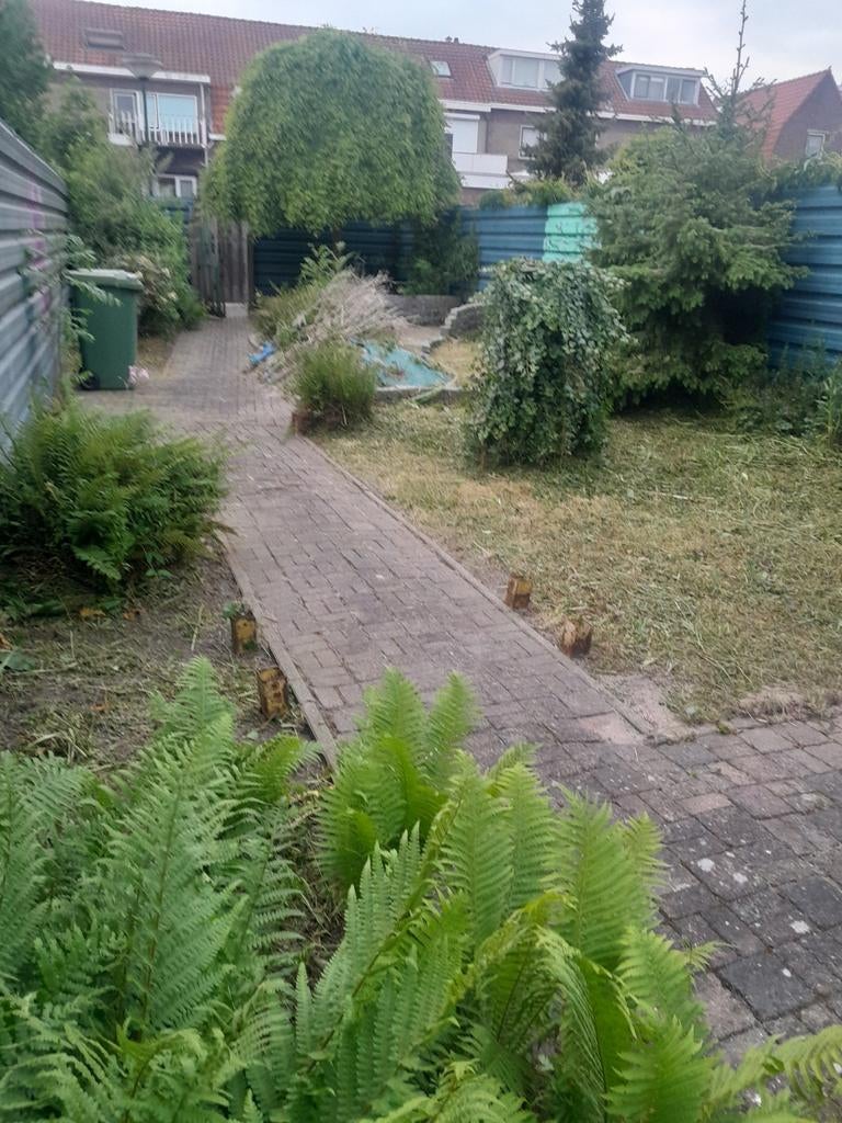 Foto 8 van Tuinman