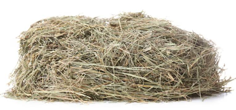biologisch hooi 5kg, Verzenden, Vee