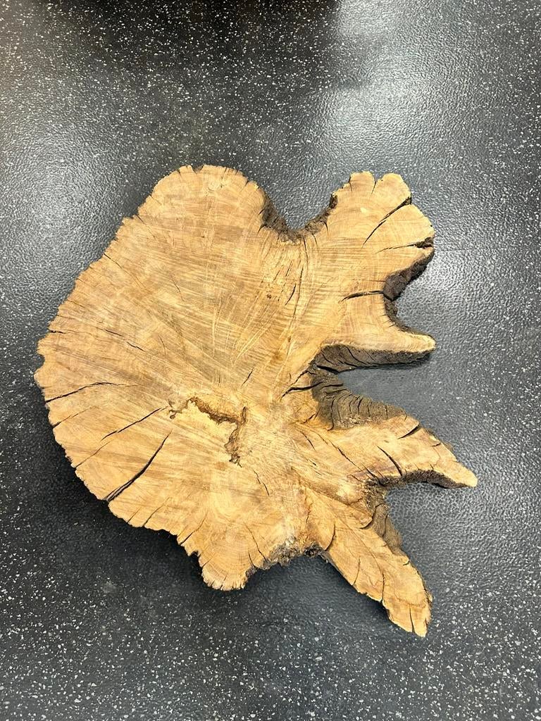 Oud Eikenhouten boomstam blad 70 cm, Ophalen of Verzenden