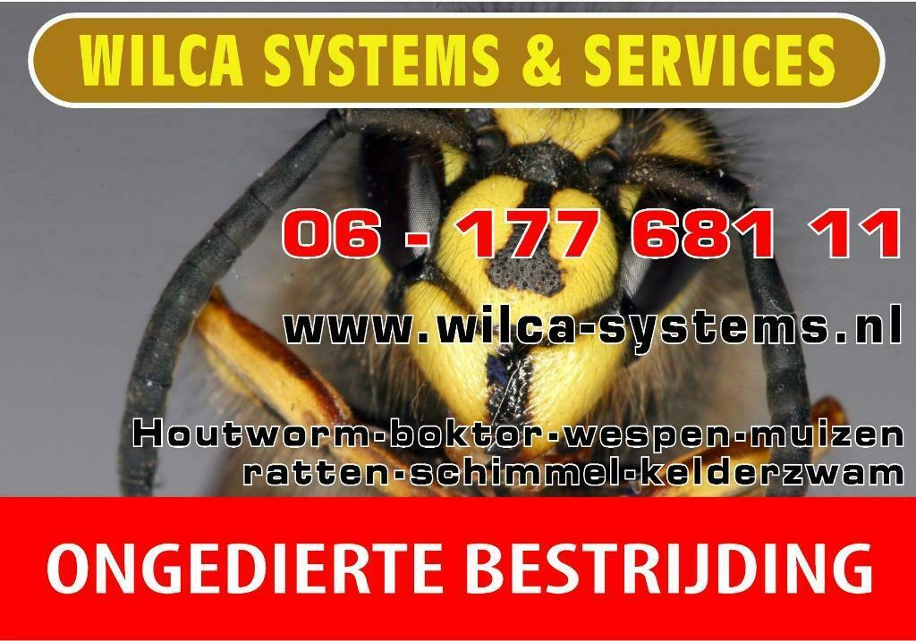 Wilca Ongediertebestrijding heel Nederland, Muizen of Ratten