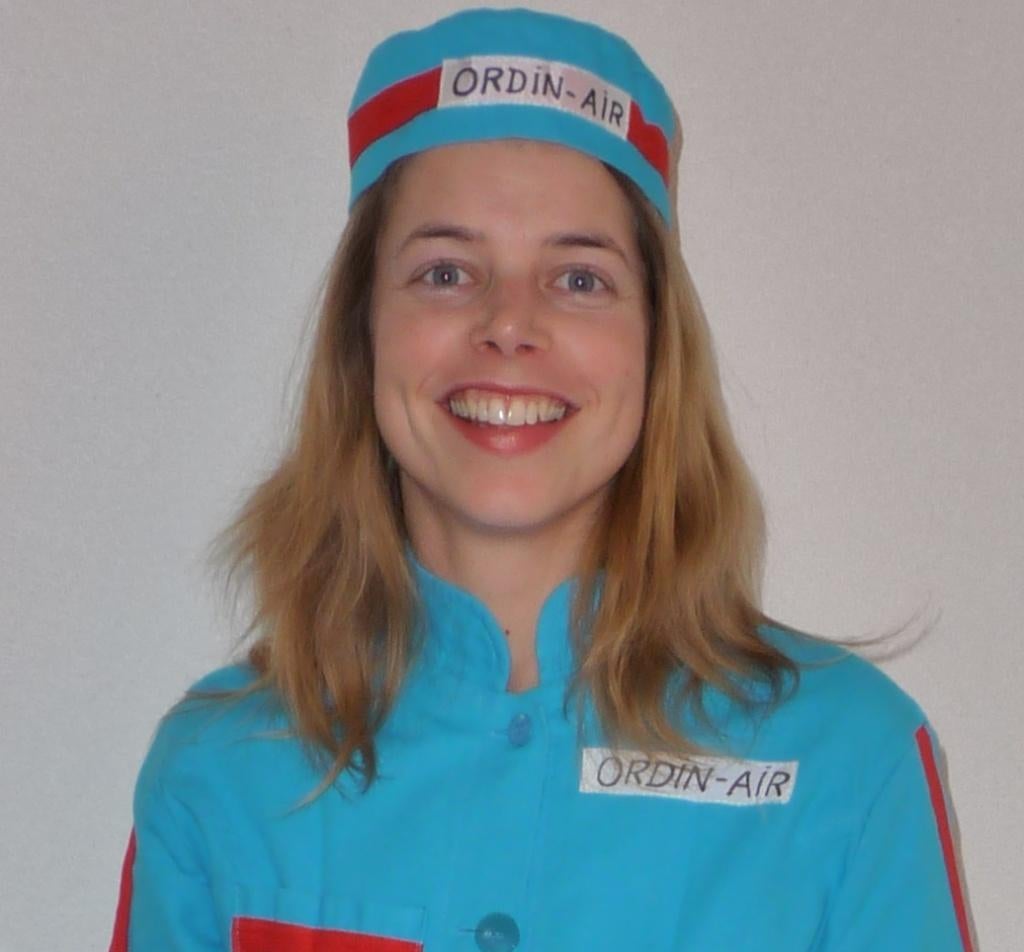 stewardess, Verzenden, Gedragen, Maat 36 (S), Carnaval