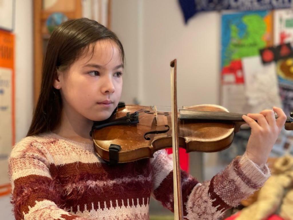 vioolles en pianoles, violin- and piano lessons, Privéles, Strijkinstrumenten