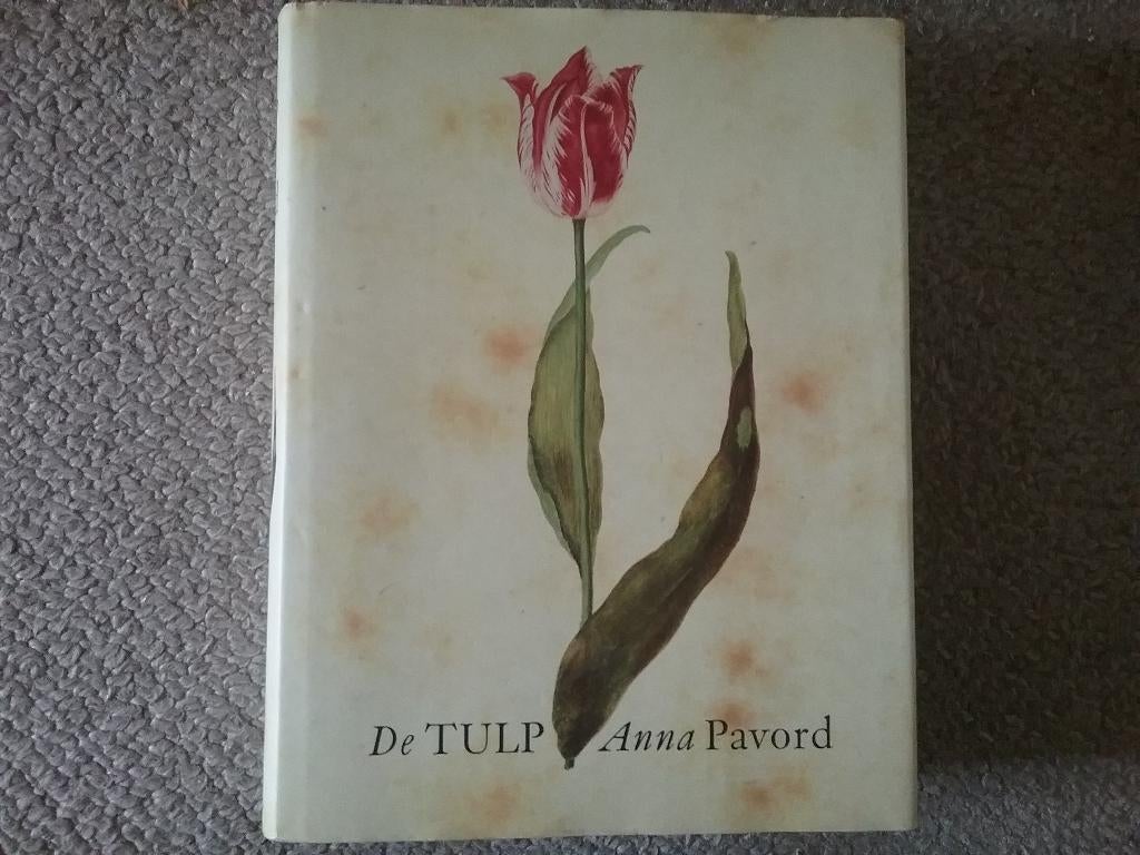 De Tulp / Anna Pavord (1999; geschiedenis), Ophalen of Verzenden, Zo goed als nieuw, Overige gebieden