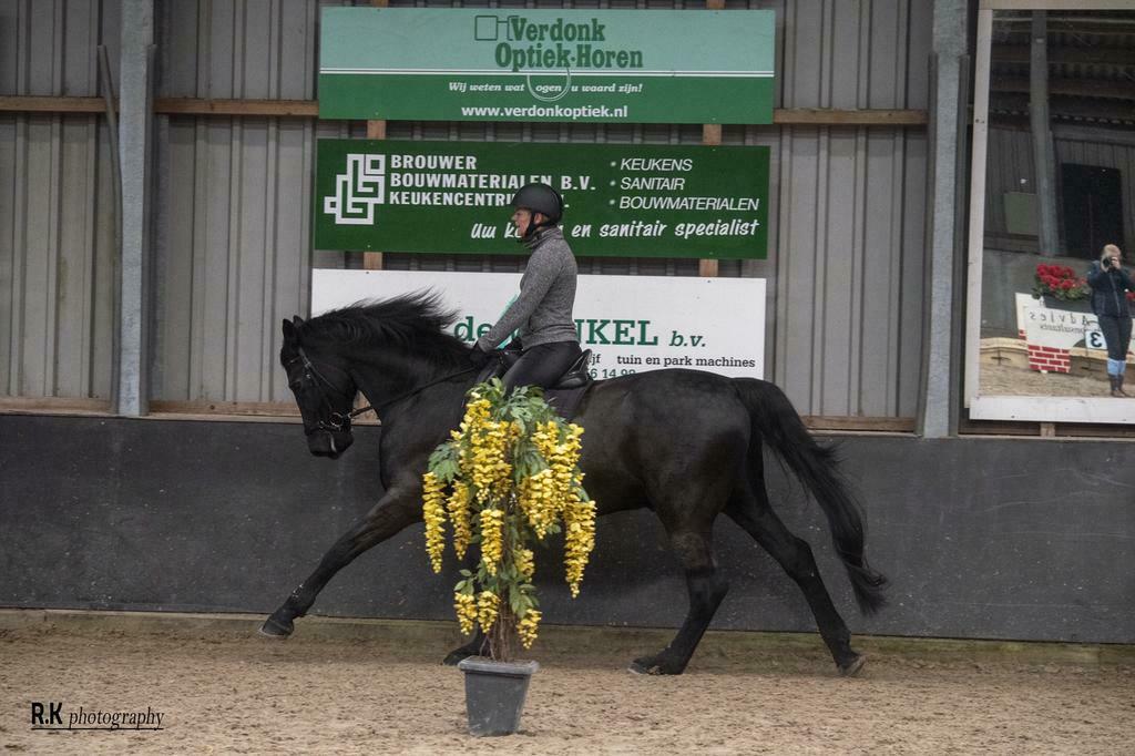 Instructie, Paardrijles of Ponykampen