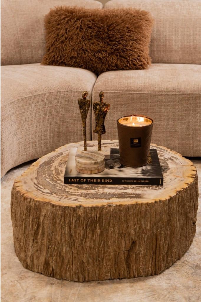 Salontafel versteend hout, Huis en Inrichting, Ophalen, Info@ptmd.nl, Nieuw, Aalsmeer