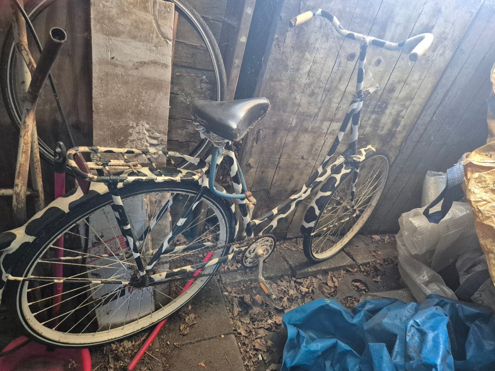Oude Hallelujah fiets met uniek koeienprint design, Terugtraprem, Ophalen, Overige merken, 53 tot 56 cm