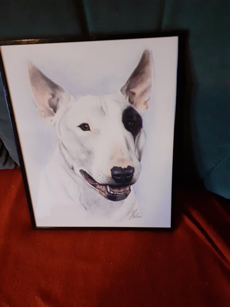 Lijst hond, Ophalen, Minder dan 50 cm, Schilderij