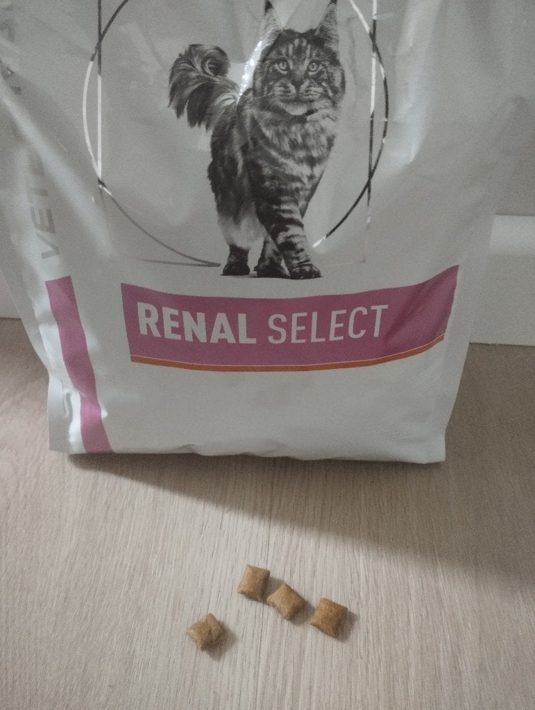 Royal Canin kat - Renal select, Dieren en Toebehoren, Dierenvoeding, Ophalen of Verzenden, Kat