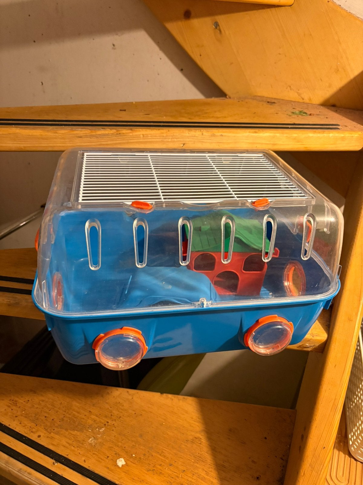 Ferplast hamsterkooi, Minder dan 60 cm, Kooi, Minder dan 75 cm, Ophalen of Verzenden