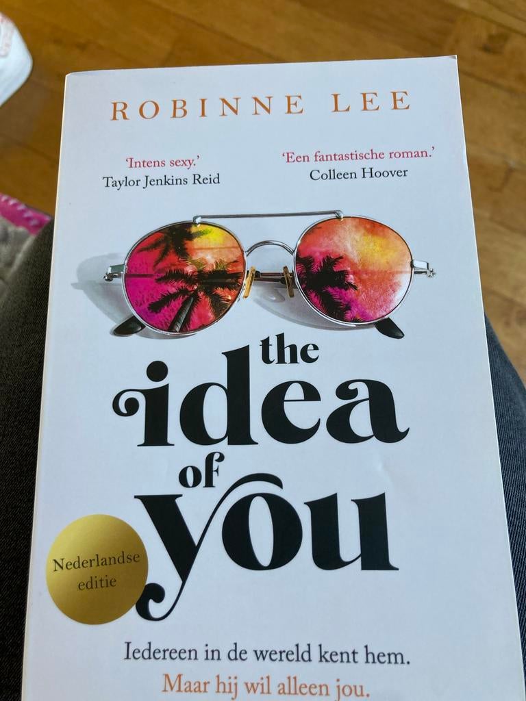 Robinne Lee -The Idea of You -Lee (Nederlandse editie), Ophalen of Verzenden, Zo goed als nieuw, Nederland
