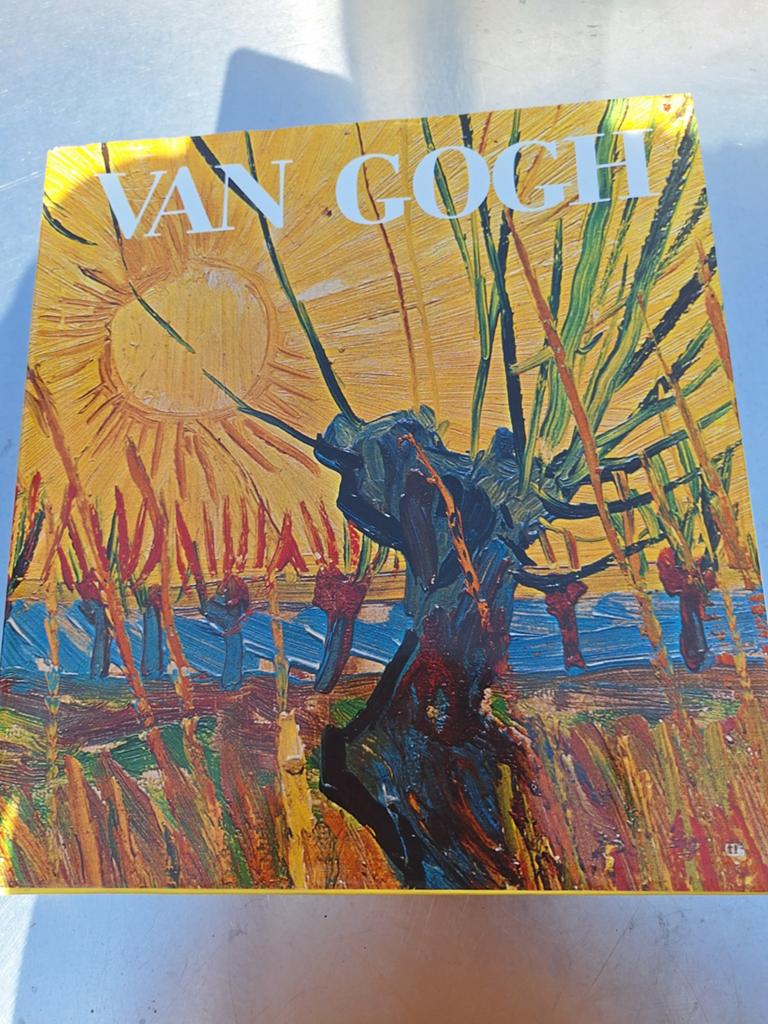 Van Gogh schilderijenboek.DALEN,DRENTHE, Ophalen of Verzenden, Gelezen