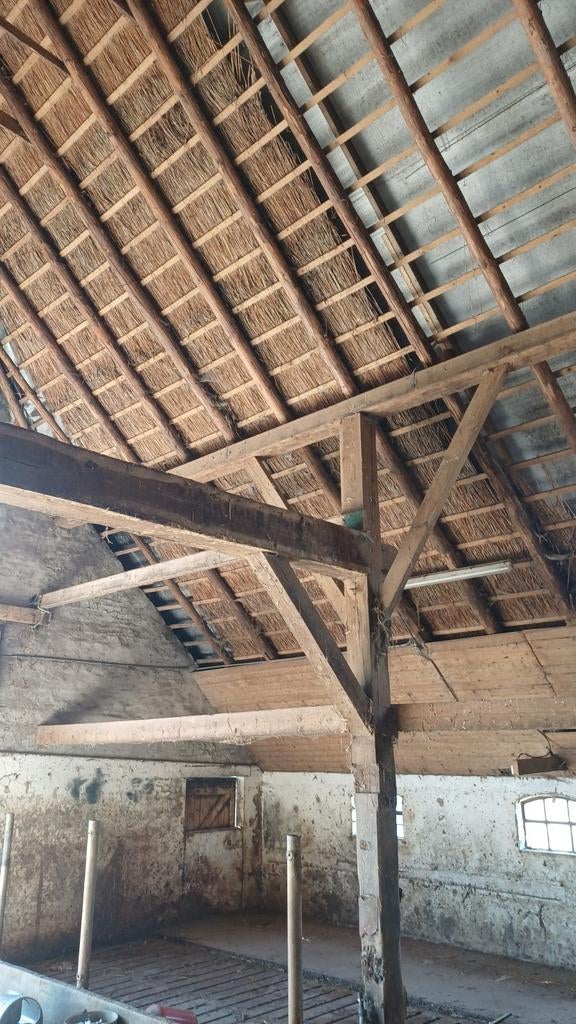 Gebinten, Doe-het-zelf en Verbouw, Gebruikt, Eiken, Ophalen of Verzenden, Balk