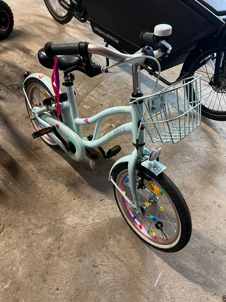 Kinderfiets 16 inch - Alpina, Ophalen of Verzenden, Gebruikt, Velgrem, 16 tot 20 inch