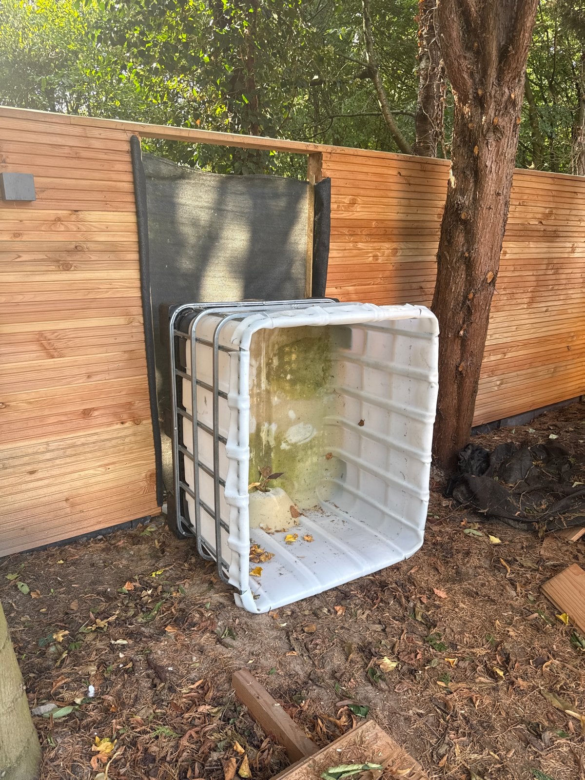 IBC-container voor ijsbad, regenton of compost, Ophalen, Gebruikt