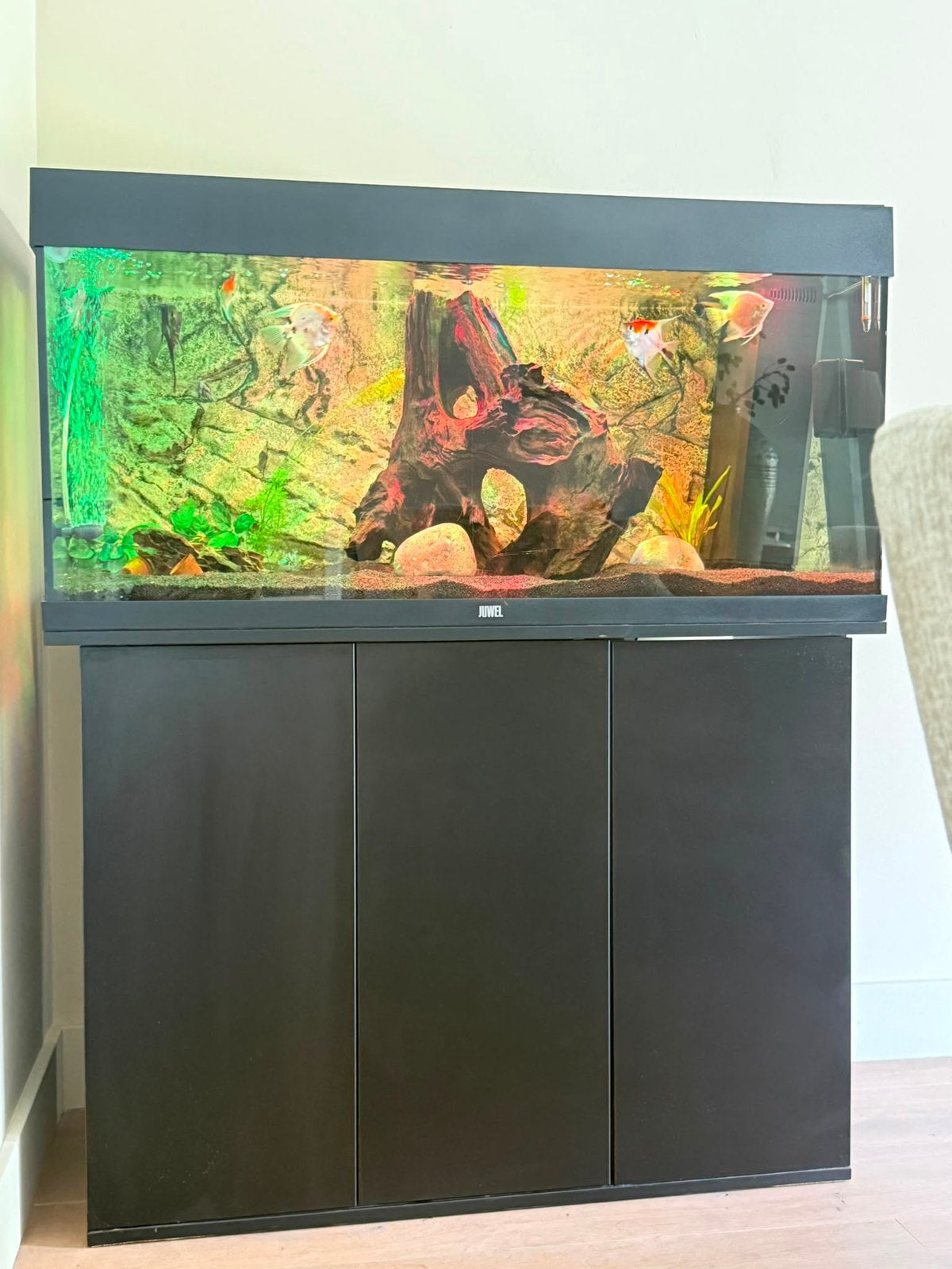 Te koop complete JUWEL aquarium, Dieren en Toebehoren, Ophalen, Gevuld zoetwateraquarium
