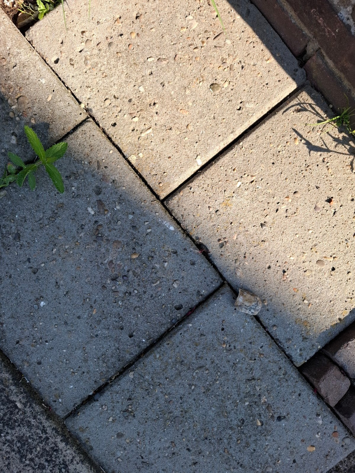 GEZOCHT 25 m2 betontegels 60x60x4, Tuin en Terras, Tegels en Klinkers, Ophalen, Beton, Terrastegels