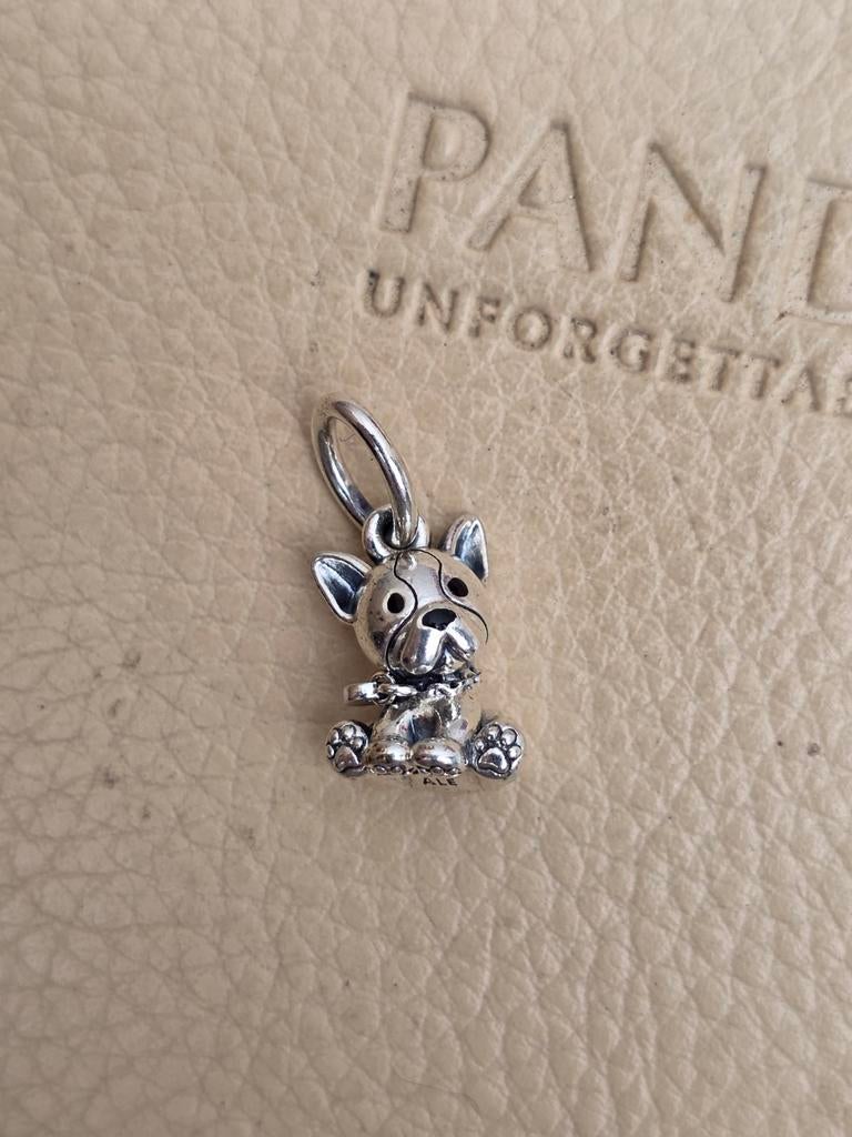 Pandora hondje, Sieraden, Tassen en Uiterlijk, Bedels, Ophalen of Verzenden, Nieuw, Zilver, Pandora