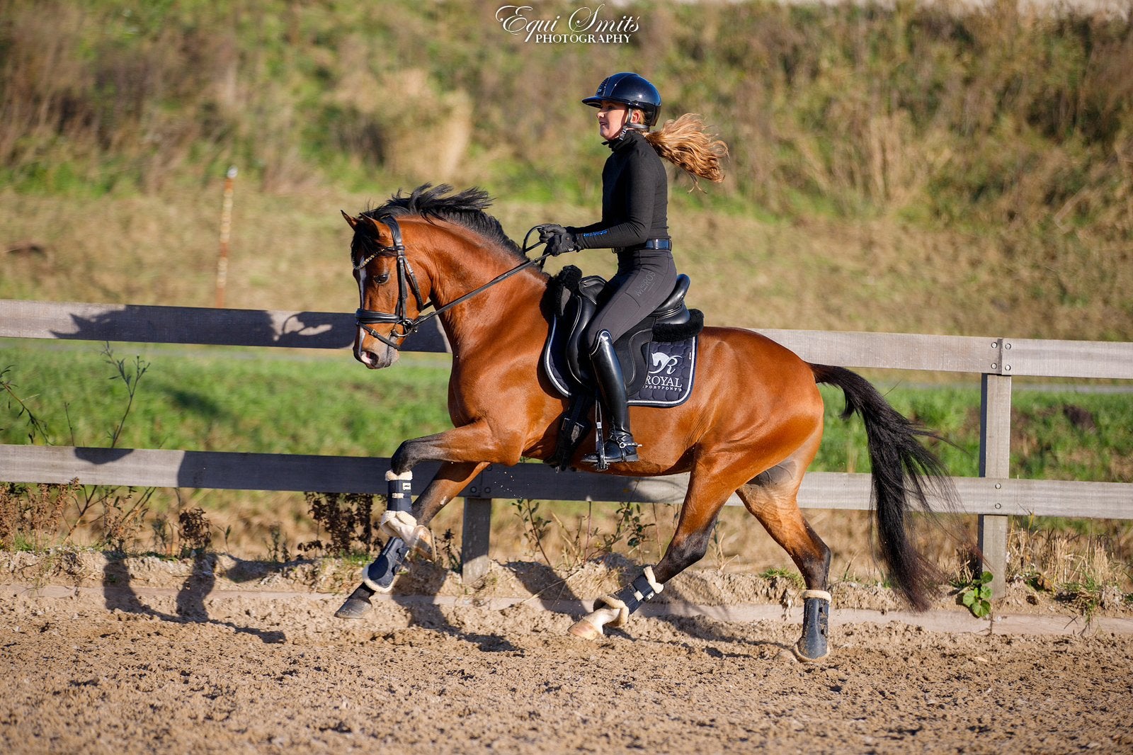 Dressuurpony training/verkoop, Ruiter of Bijrijder