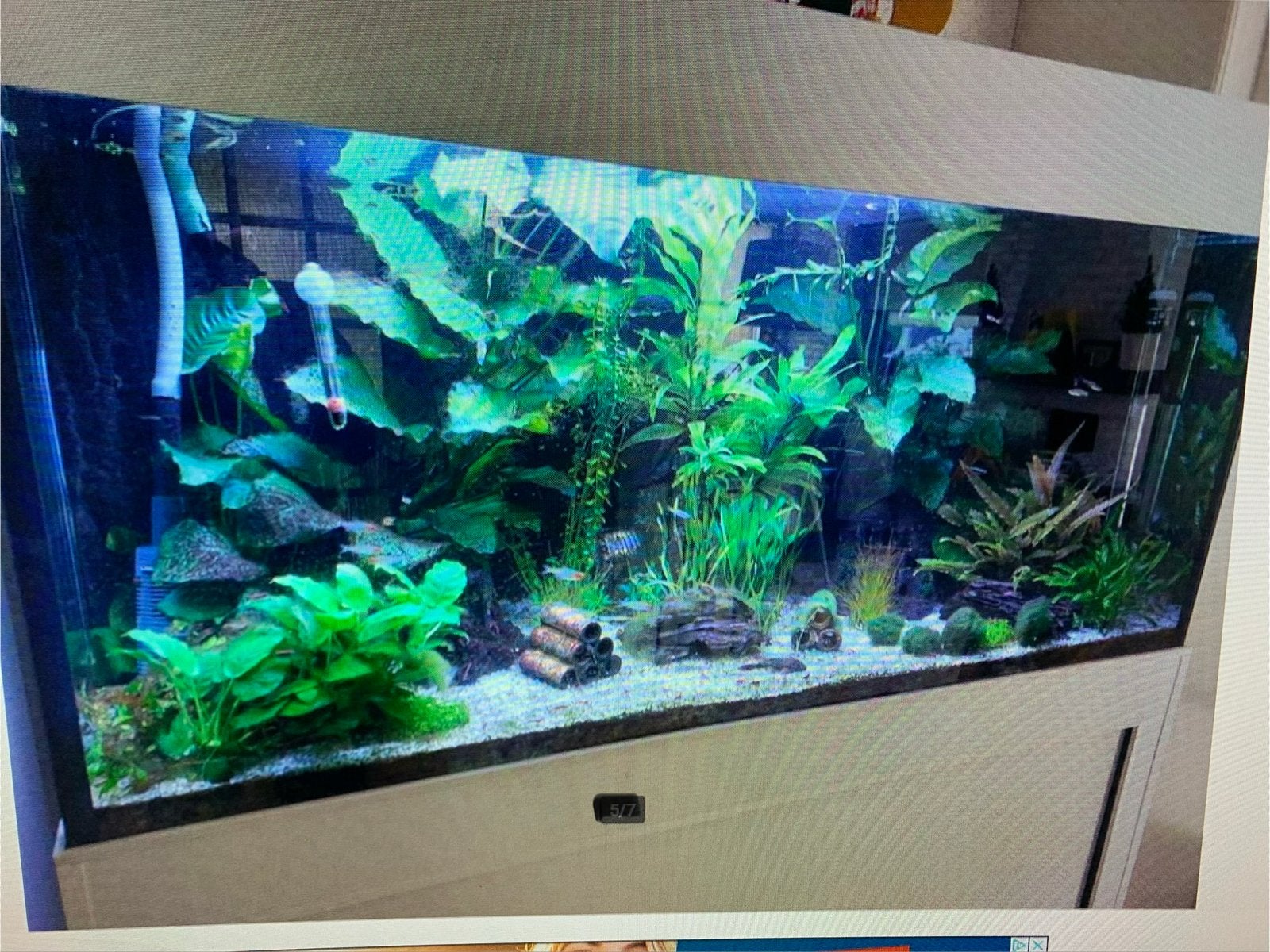 Leegstaand aquarium 120x60x50, Ophalen, Inclusief slangen, Gebruikt, Leeg aquarium