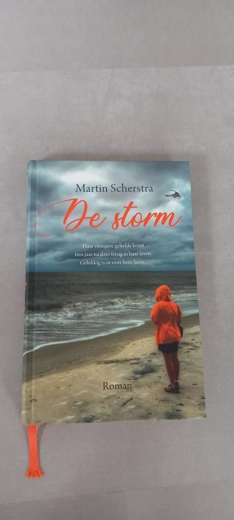 Martin Scherstra - De storm, Noord-Brabant, Martin Scherstra, Ophalen of Verzenden, Zo goed als nieuw