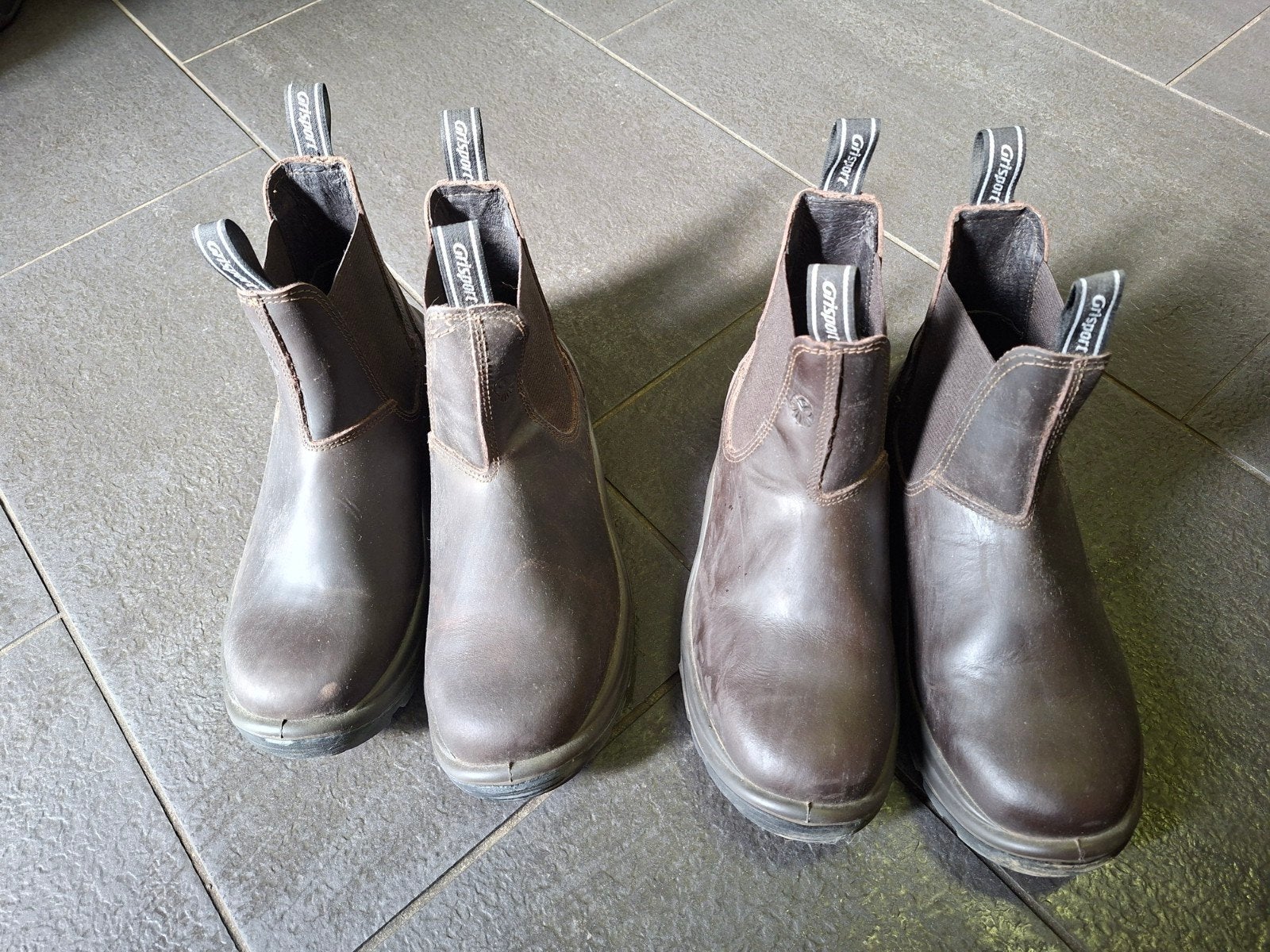 Grisport jodpher 42 stalen neus, Ophalen of Verzenden, Zo goed als nieuw, Schoeisel