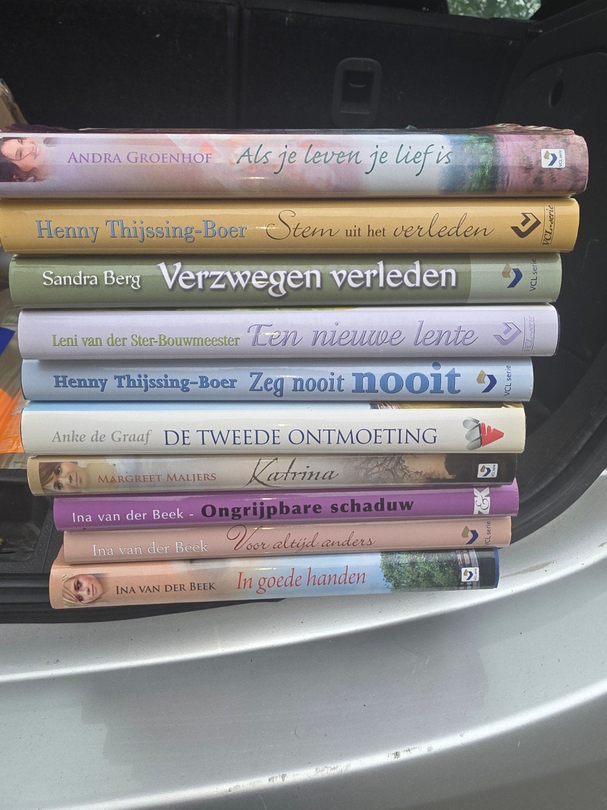 streekromans, Boeken, Ophalen of Verzenden, Zo goed als nieuw, Noord-Brabant