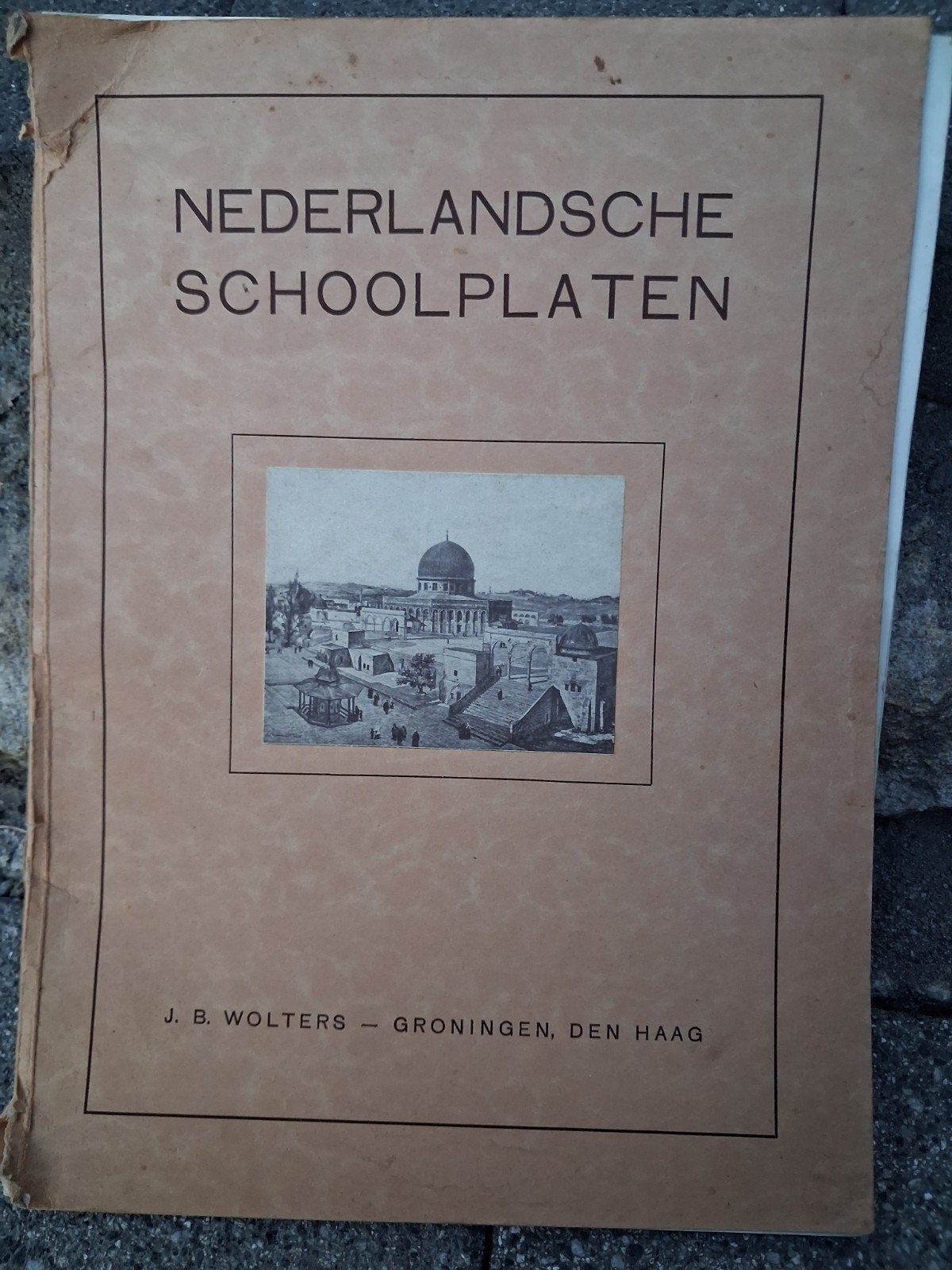 Nederlandse Schoolplaten - Diverse Thema's, Ophalen of Verzenden, Natuur en Biologie