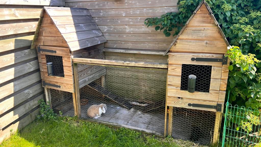 Groot houten buitenhok., Dieren en Toebehoren, Ophalen, Hamster, 90 cm of meer, Ren