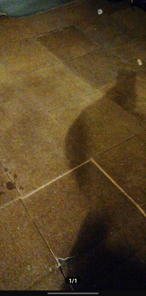 GEZOCHT EEN VAKMAN DIE VLOER KAN REPAREREN HoutEN vloer rot, Ophalen of Verzenden, Parket