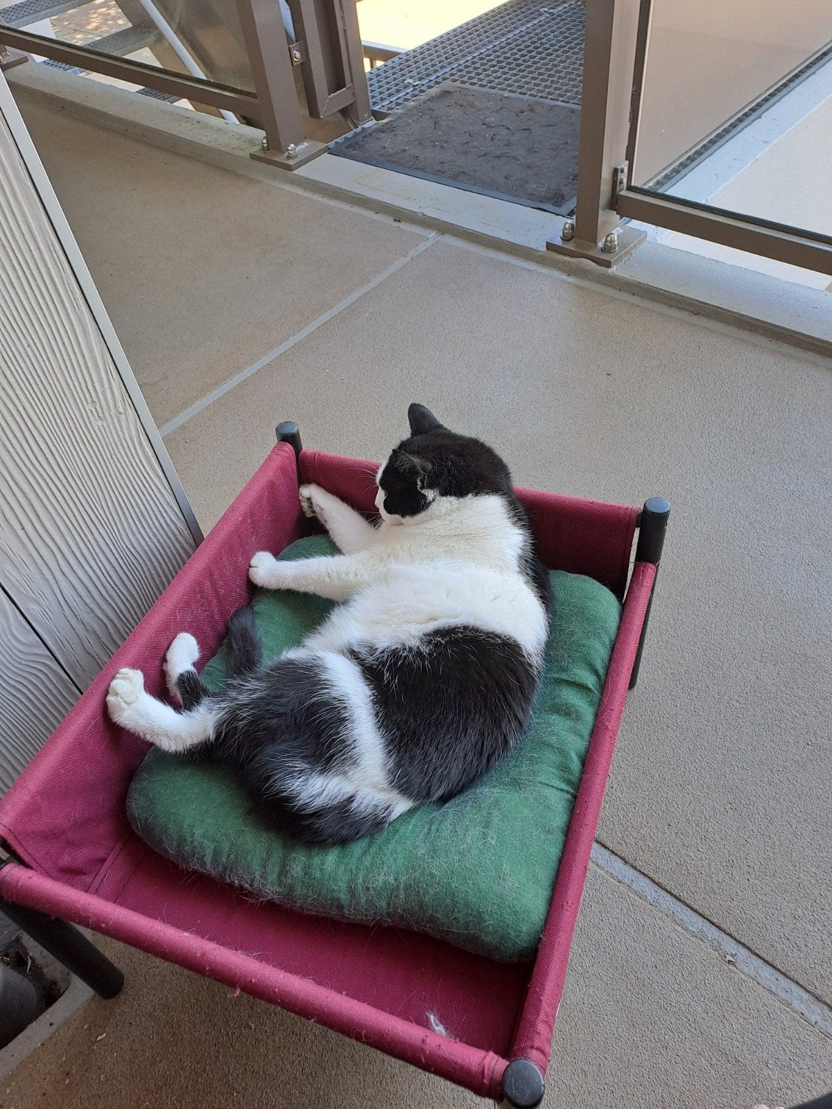 kattenbed/, Ophalen of Verzenden