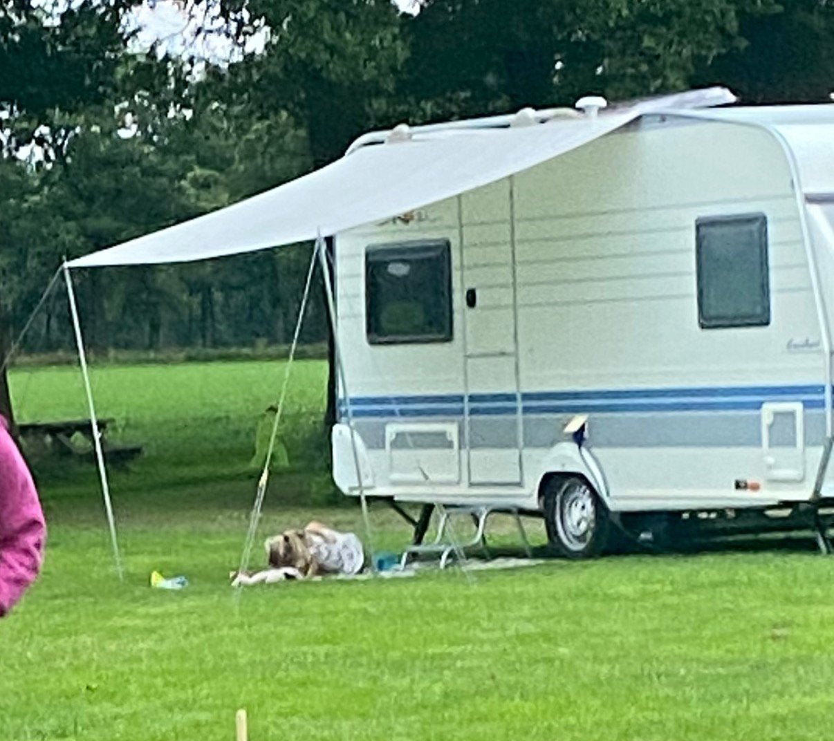Luifel met pees 290x200 cm voor caravan of camper, Caravans en Kamperen, Caravan accessoires, Ophalen, Gebruikt