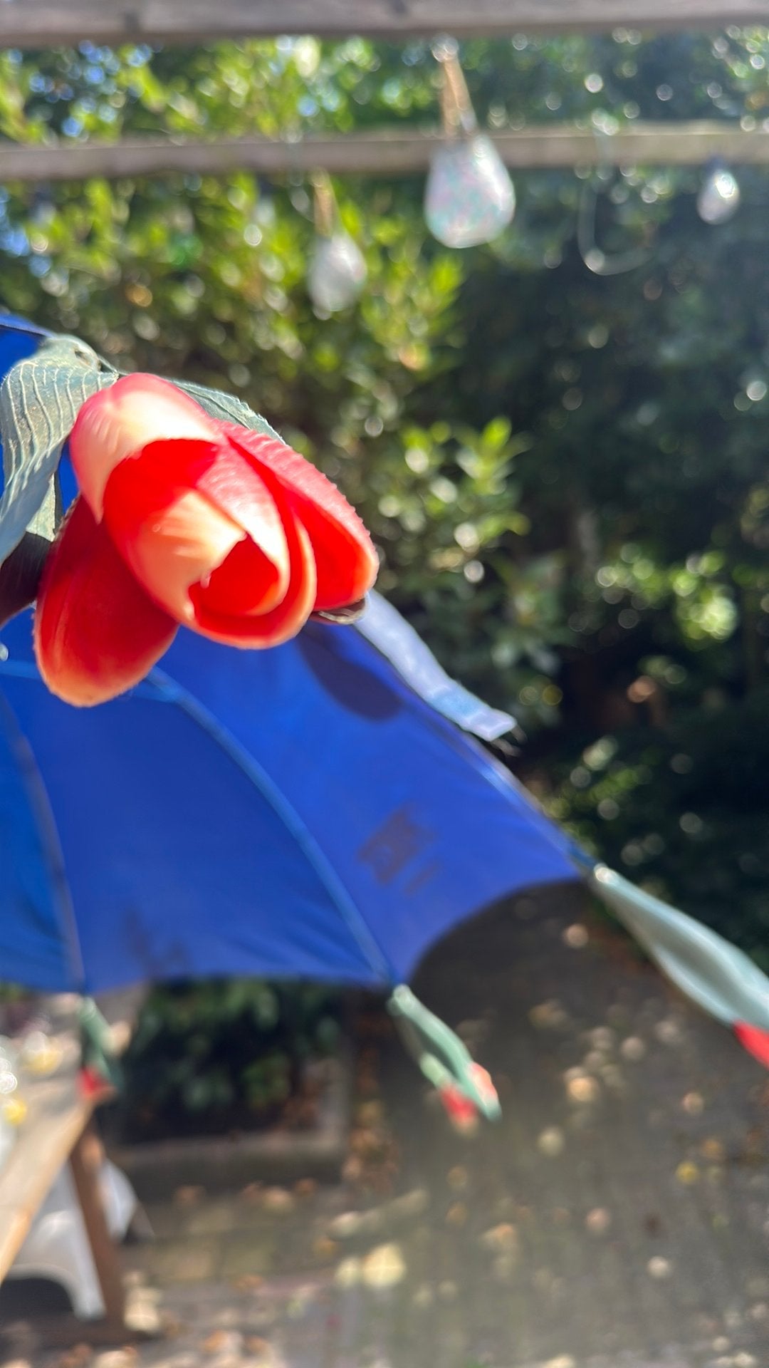 Princess paraplu met tulpen, Ophalen of Verzenden, Zo goed als nieuw, Blauw