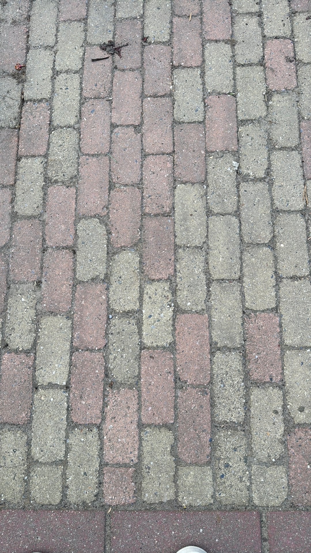 Gratis betonklinkers, Ophalen of Verzenden, Gebruikt, Beton, Klinkers