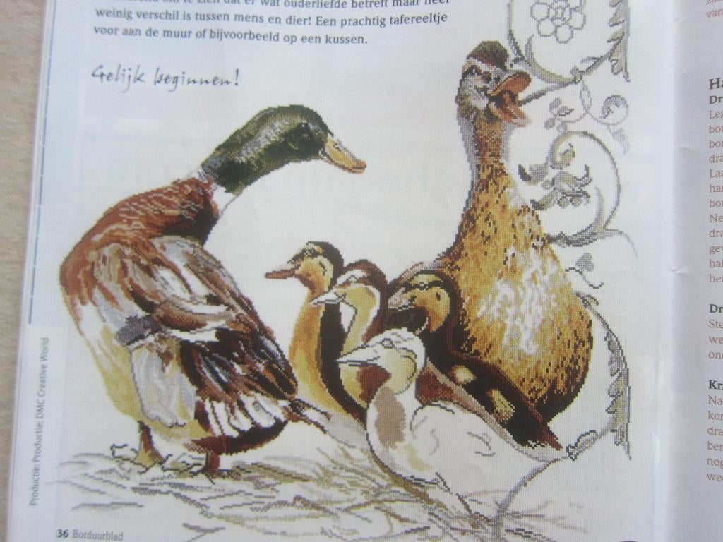 borduurpatroon van WILDE EENDEN  patronen, Ophalen of Verzenden, Zo goed als nieuw, Handborduren, Patroon