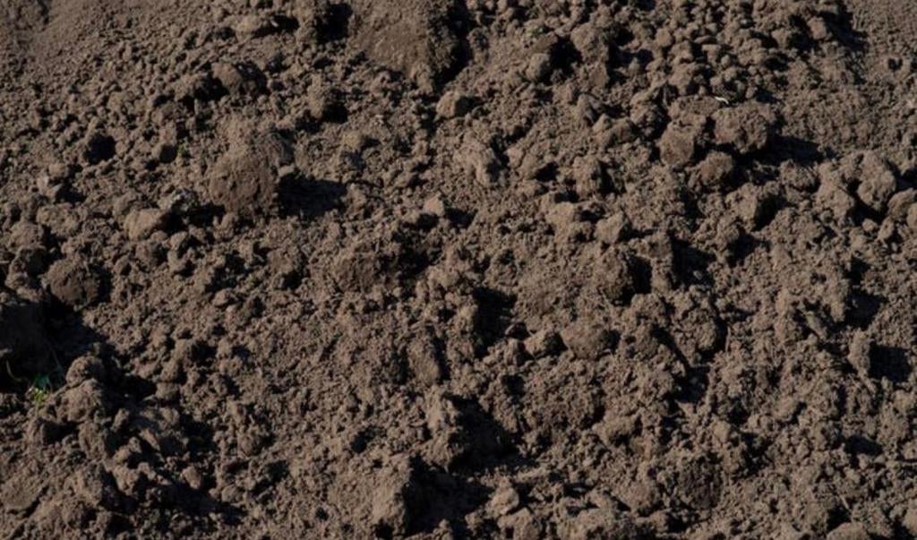 Niet gratis, maar geld erbij. Schone aarde, kleigrond tuin, Ophalen, Tuinaarde