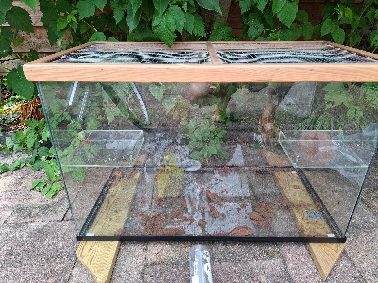 Glazen hamsterkooi met toebehoren, Dieren en Toebehoren, Kooi, Muis, 75 tot 110 cm, Ophalen