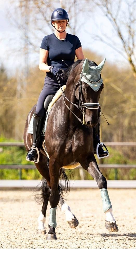 Johnson x Mooiman net 9 jaar Z2, Ophalen of Verzenden, Zo goed als nieuw