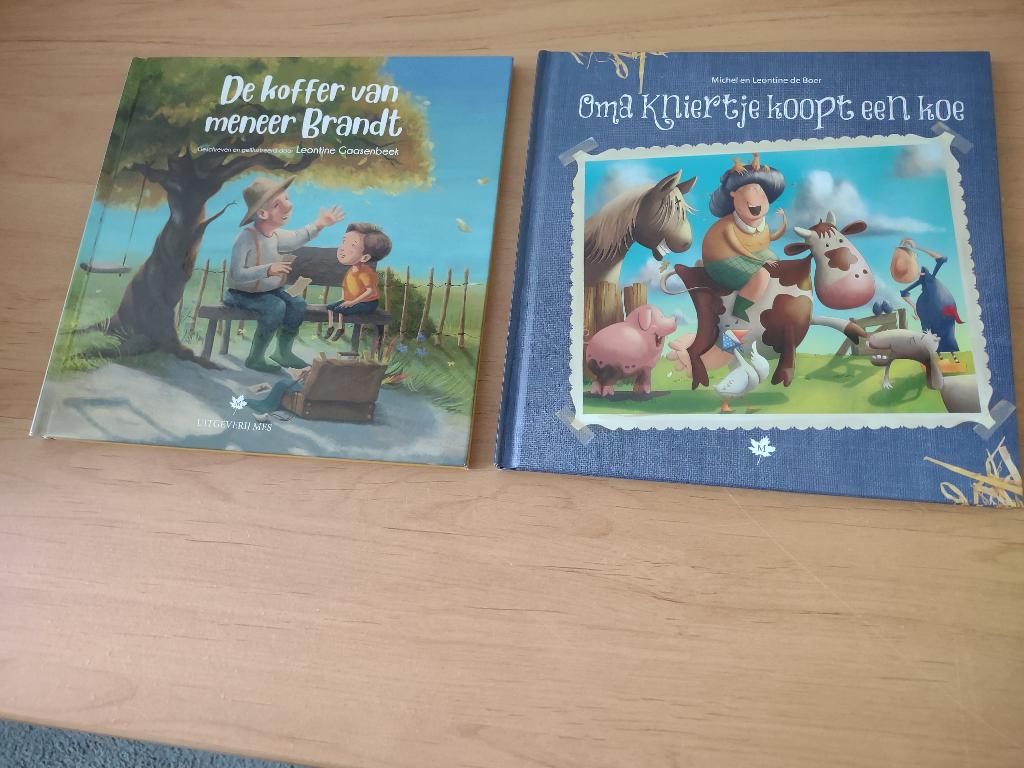 De koffer van meneer Brandt ea- Leontine Gaasenbeek, Boeken, Ophalen of Verzenden, Gelezen, Fictie algemeen